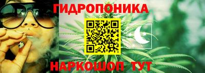трава Бердск