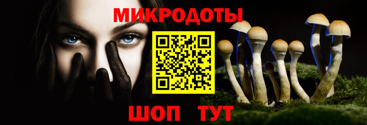 Псилоцибиновые грибы прущие грибы  Псилоцибиновые грибы Cubensis  Протвино  Вход с VPN 